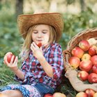 How and Where to go Apple Picking this Fall